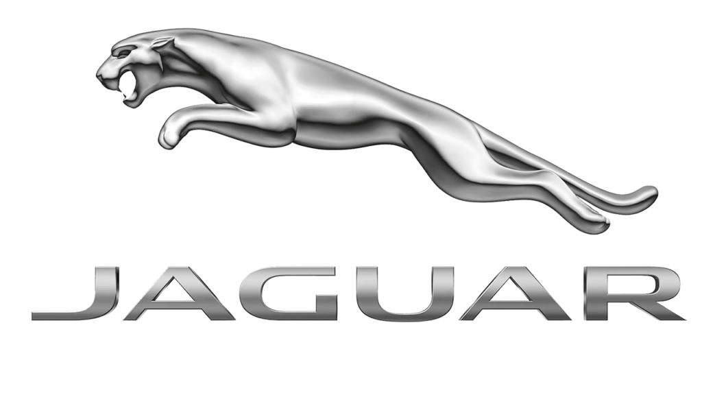 Jaguar : 